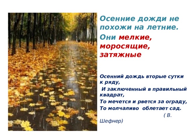 Осенние дожди не похожи на летние. Они мелкие, моросящие, затяжные   Осенний дождь вторые сутки к ряду,  И заключенный в правильный квадрат, То мечется и рвется за ограду, То молчаливо облетает сад.  ( В. Шефнер)  . 
