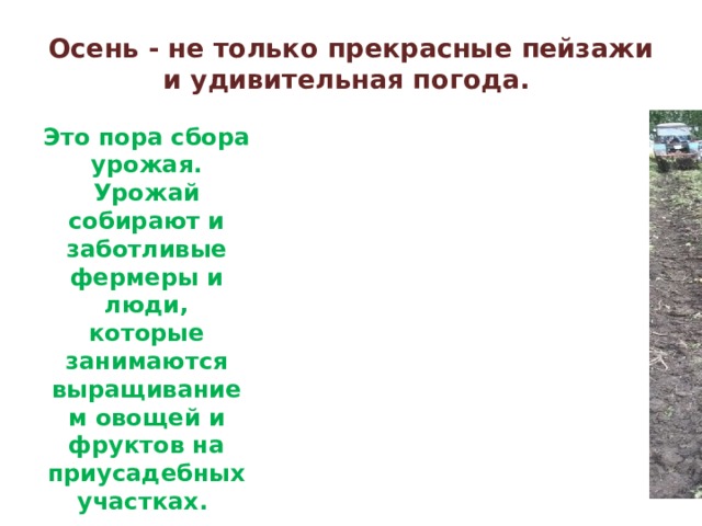 Осень - не только прекрасные пейзажи и удивительная погода. Это пора сбора урожая. Урожай собирают и заботливые фермеры и люди, которые занимаются выращиванием овощей и фруктов на приусадебных участках. 