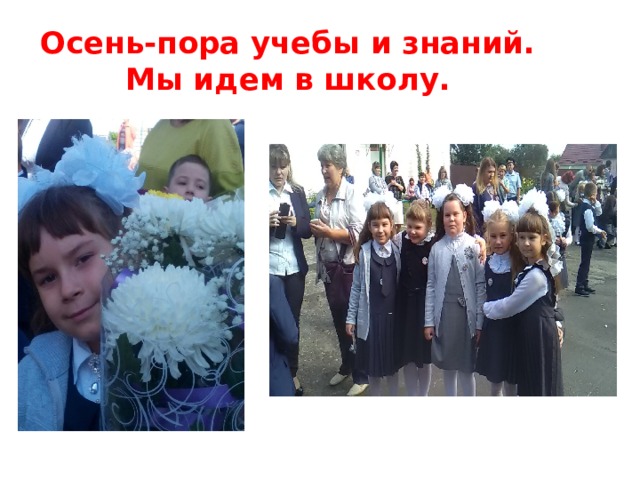 Осень-пора учебы и знаний.  Мы идем в школу. 