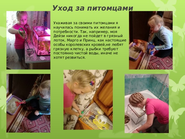 Уход за питомцами Ухаживая за своими питомцами я научилась понимать их желания и потребности. Так, например, моя Дейзи никогда не пойдет в грязный лоток, Марго и Принц, как настоящие особы королевских кровей,не любят грязную клетку, а рыбки требуют постоянно чистой воды, иначе не хотят резвиться. 
