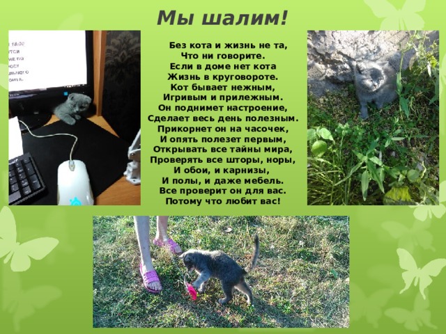 Мы шалим!  Без кота и жизнь не та, Что ни говорите. Если в доме нет кота Жизнь в круговороте. Кот бывает нежным, Игривым и прилежным. Он поднимет настроение, Сделает весь день полезным. Прикорнет он на часочек, И опять полезет первым, Открывать все тайны мира, Проверять все шторы, норы, И обои, и карнизы, И полы, и даже мебель. Все проверит он для вас. Потому что любит вас! 