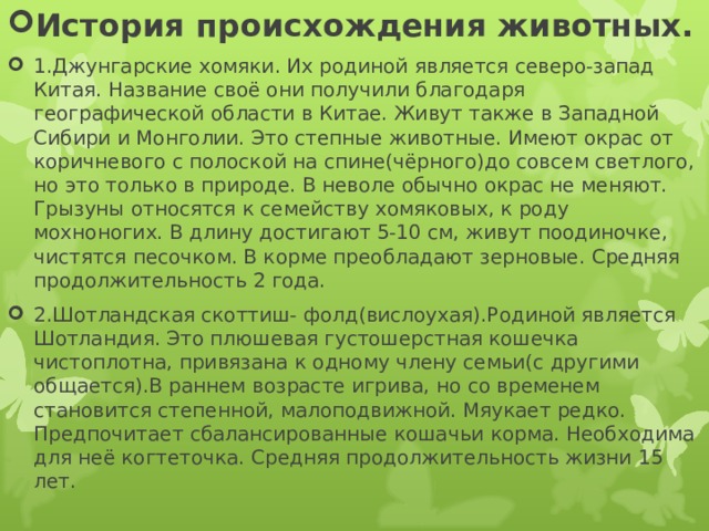 История происхождения животных. 1.Джунгарские хомяки. Их родиной является северо-запад Китая. Название своё они получили благодаря географической области в Китае. Живут также в Западной Сибири и Монголии. Это степные животные. Имеют окрас от коричневого с полоской на спине(чёрного)до совсем светлого, но это только в природе. В неволе обычно окрас не меняют. Грызуны относятся к семейству хомяковых, к роду мохноногих. В длину достигают 5-10 см, живут поодиночке, чистятся песочком. В корме преобладают зерновые. Средняя продолжительность 2 года. 2.Шотландская скоттиш- фолд(вислоухая).Родиной является Шотландия. Это плюшевая густошерстная кошечка чистоплотна, привязана к одному члену семьи(с другими общается).В раннем возрасте игрива, но со временем становится степенной, малоподвижной. Мяукает редко. Предпочитает сбалансированные кошачьи корма. Необходима для неё когтеточка. Средняя продолжительность жизни 15 лет.  
