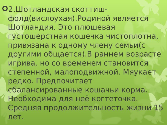 2.Шотландская скоттиш- фолд(вислоухая).Родиной является Шотландия. Это плюшевая густошерстная кошечка чистоплотна, привязана к одному члену семьи(с другими общается).В раннем возрасте игрива, но со временем становится степенной, малоподвижной. Мяукает редко. Предпочитает сбалансированные кошачьи корма. Необходима для неё когтеточка. Средняя продолжительность жизни 15 лет. 