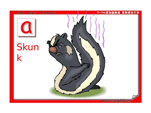 Skunk 