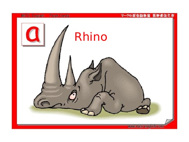 Rhino 