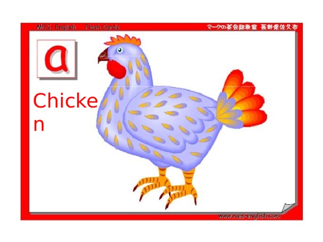 Chicken 