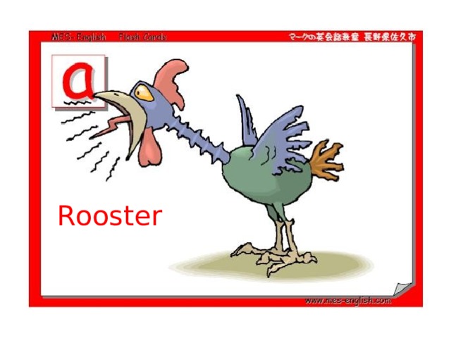 Rooster 