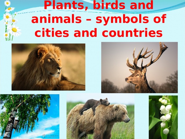 Plants, birds and animals – symbols of cities and countries 