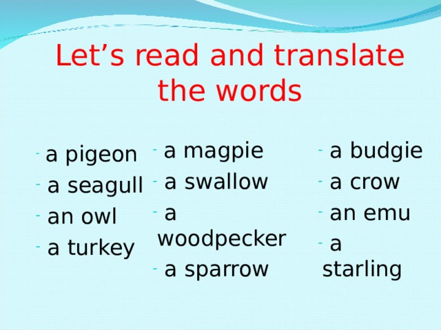 Let’s read and translate the words  a magpie  a swallow  a woodpecker  a sparrow   a magpie  a swallow  a woodpecker  a sparrow   a magpie  a swallow  a woodpecker  a sparrow   a magpie  a swallow  a woodpecker  a sparrow   a budgie  a crow  an emu  a starling   a budgie  a crow  an emu  a starling   a budgie  a crow  an emu  a starling   a budgie  a crow  an emu  a starling   a pigeon  a seagull  an owl  a turkey   a pigeon  a seagull  an owl  a turkey   a pigeon  a seagull  an owl  a turkey   a pigeon  a seagull  an owl  a turkey  