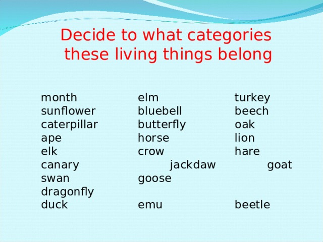 Decide to what categories  these living things belong month   elm    turkey sunflower   bluebell   beech caterpillar   butterfly   oak ape    horse    lion elk    crow    hare canary    jackdaw   goat swan    goose    dragonfly duck    emu    beetle 