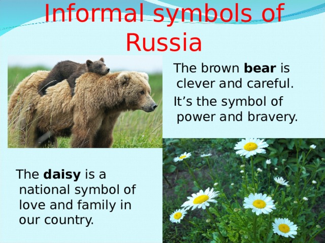 Informal symbols of Russia The brown bear is clever and careful. It’s the symbol of power and bravery. The brown bear is clever and careful. It’s the symbol of power and bravery. The brown bear is clever and careful. It’s the symbol of power and bravery. The brown bear is clever and careful. It’s the symbol of power and bravery. The daisy is a national symbol of love and family in our country. The daisy is a national symbol of love and family in our country. The daisy is a national symbol of love and family in our country. The daisy is a national symbol of love and family in our country. 