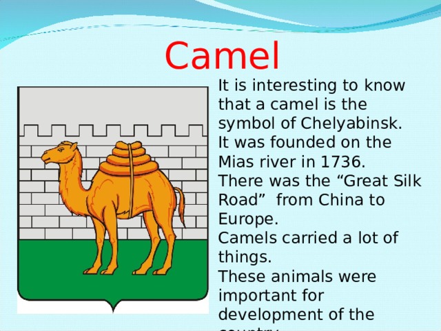 Camel It is interesting to know that a camel is the symbol of Chelyabinsk. It was founded on the Mias river in 1736. There was the “Great Silk Road” from China to Europe. Camels carried a lot of things. These animals were important for development of the country. That’s why the camel has become the symbol of the city. 