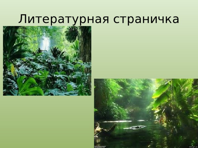 Литературная страничка 