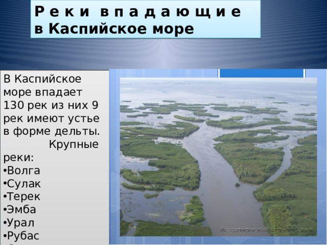Река волга впадает в каспийское море знаки. Устье Волги впадает в Каспийское море.