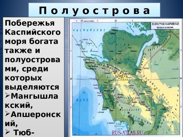 П о л у о с т р о в а Побережья Каспийского моря богата также и полуостровами, среди которых выделяются Мангышлакский, Апшеронский,  Тюб- Караган,  Бузачи. 