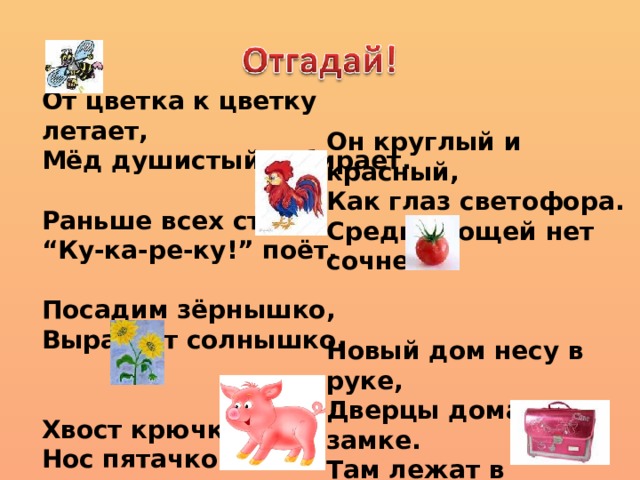 От цветка к цветку летает, Мёд душистый собирает.  Раньше всех стаёт, “ Ку-ка-ре-ку!” поёт.  Посадим зёрнышко, Вырастет солнышко.   Хвост крючком, Нос пятачком.  Он круглый и красный, Как глаз светофора. Среди овощей нет сочней…   Новый дом несу в руке, Дверцы дома на замке. Там лежат в порядке Книжки и тетрадки. 