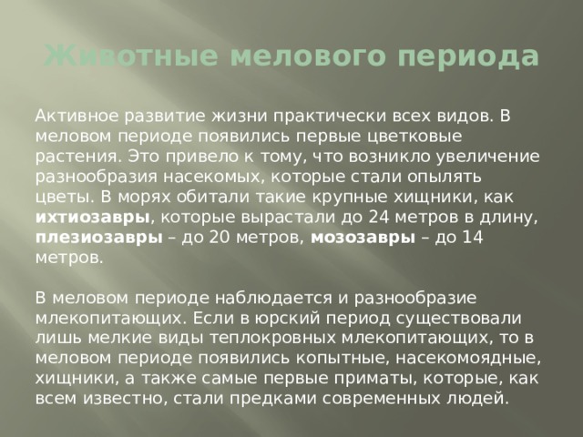 Животные мелового периода Активное развитие жизни практически всех видов. В меловом периоде появились первые цветковые растения. Это привело к тому, что возникло увеличение разнообразия насекомых, которые стали опылять цветы. В морях обитали такие крупные хищники, как ихтиозавры , которые вырастали до 24 метров в длину, плезиозавры – до 20 метров, мозозавры – до 14 метров. В меловом периоде наблюдается и разнообразие млекопитающих. Если в юрский период существовали лишь мелкие виды теплокровных млекопитающих, то в меловом периоде появились копытные, насекомоядные, хищники, а также самые первые приматы, которые, как всем известно, стали предками современных людей. 