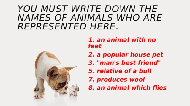 you must write down the names of animals who are represented here. 1. an animal with no feet 2. a popular house pet 3. 