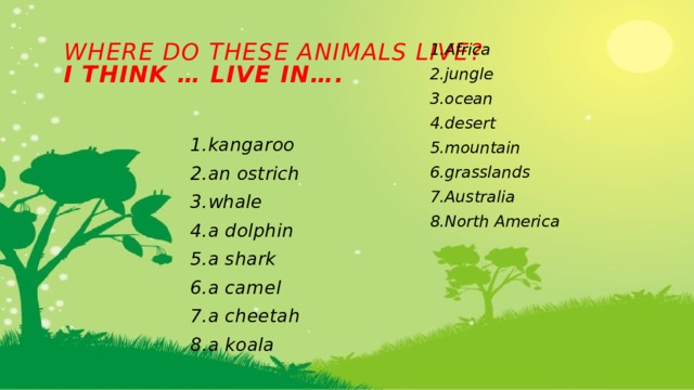 Where do these animals live?  I think … live in….   1.Africa 2.jungle 3.ocean 4.desert 5.mountain 6.grasslands 7.Australia 8.North America 1.kangaroo 2.an ostrich 3.whale 4.a dolphin 5.a shark 6.a camel 7.a cheetah 8.a koala 