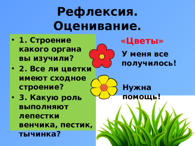 Рефлексия. Оценивание. 1. Строение какого органа вы изучили? 2. Все ли цветки имеют сходное строение? 3. Какую роль выполняют лепестки венчика, пестик, тычинка? «Цветы»          У меня все получилось! Нужна помощь!