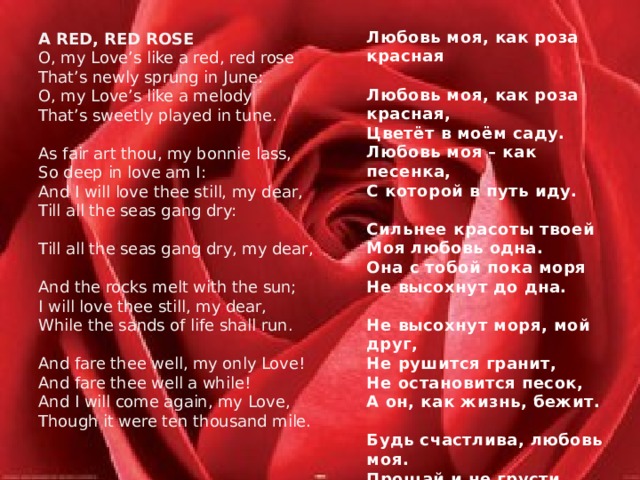 a red, red rose  O, my Love’s like a red, red rose  That’s newly sprung in June:  O, my Love’s like a melody  t hat’s sweetly played in tune.     As fair art thou, my bonnie lass,  So deep in love am I:  And I will love thee still, my dear,  Till all the seas gang dry:     Till all the seas gang dry, my dear,  And the rocks melt with the sun;  I will love thee still, my dear,  While the sands of life shall run.     And fare thee well, my only Love!  And fare thee well a while!  And I will come again, my Love,  t hough it were ten thousand mile.   Любовь моя, как роза красная   Любовь моя, как роза красная, Цветёт в моём саду. Любовь моя – как песенка, С которой в путь иду.   Сильнее красоты твоей Моя любовь одна. Она с тобой пока моря Не высохнут до дна.   Не высохнут моря, мой друг, Не рушится гранит, Не остановится песок, А он, как жизнь, бежит.   Будь счастлива, любовь моя. Прощай и не грусти. Вернусь к тебе, хоть целый свет Пришлось бы мне пройти. перевод С. Маршака