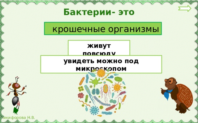 Бактерии- это  крошечные организмы живут повсюду увидеть можно под микроскопом 