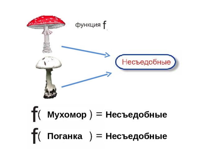  Мухомор Несъедобные  Поганка Несъедобные 