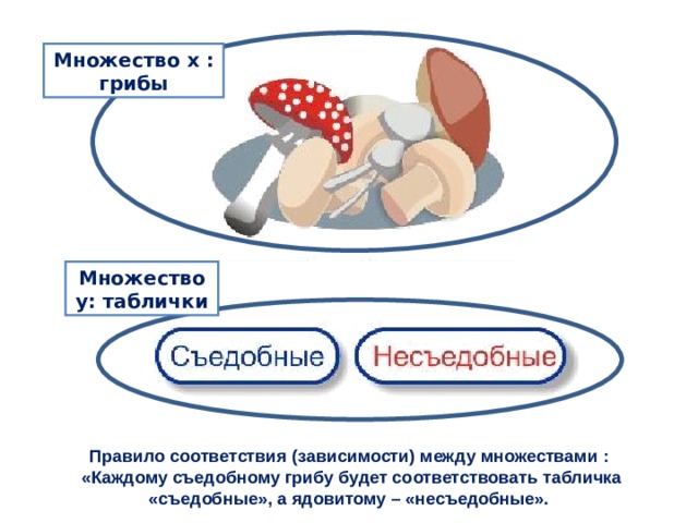 Множество х  : грибы Множество y : таблички Правило соответствия (зависимости) между множествами :  «Каждому съедобному грибу будет соответствовать табличка «съедобные», а ядовитому – «несъедобные». 