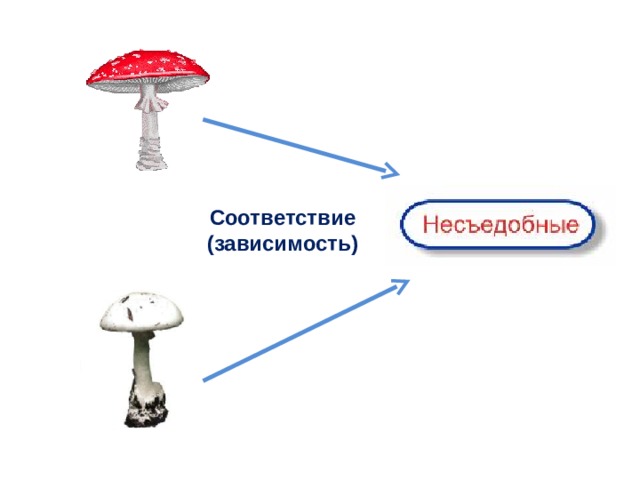 Соответствие (зависимость) 