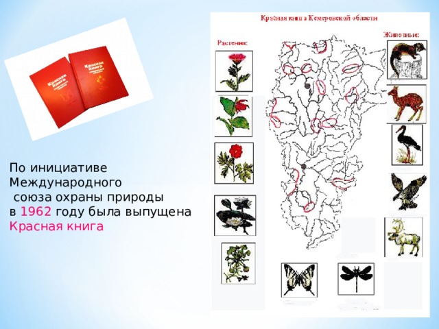 По инициативе Международного  союза охраны природы в 1962 году была выпущена Красная книга 