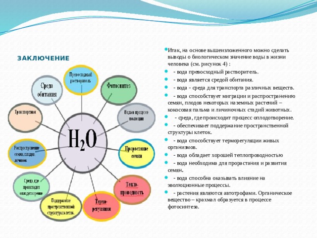 Итак, на основе вышеизложенного можно сделать выводы о биологическом значение воды в жизни человека (см. рисунок 4) :   - вода превосходный растворитель.  - вода является средой обитания.  - вода - среда для транспорта различных веществ.  - вода способствует миграции и распространению семян, плодов некоторых наземных растений – кокосовая пальма и личиночных стадий животных.   - среда, где происходит процесс оплодотворение.  - обеспечивает поддержание пространственной структуры клеток.  - вода способствует терморегуляции живых организмов.    - вода обладает хорошей теплопроводностью  - вода необходима для прорастания и развития семян .      - вода способна оказывать влияние на эволюционные процессы.  - растения являются автотрофами. Органическое вещество – крахмал образуется в процессе фотосинтеза. ЗАКЛЮЧЕНИЕ   