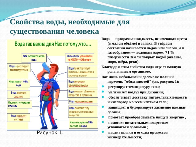 Наличие человека. Св ва воды в теле человека. Для чего нужна вода в организме. Свойства воды важные для существ. Сколько процессов существует в человеке.