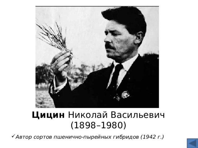 Цицин Николай Васильевич  (1898–1980)