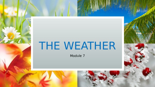 The Weather Module 7 