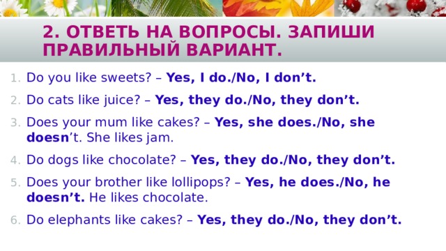 2. Ответь на вопросы. Запиши правильный вариант. Do you like sweets? – Yes, I do./No, I don’t. Do cats like juice? – Yes, they do./No, they don’t. Does your mum like cakes? – Yes, she does./No, she doesn ’t. She likes jam. Do dogs like chocolate? – Yes, they do./No, they don’t. Does your brother like lollipops? – Yes, he does./No, he doesn’t. He likes chocolate. Do elephants like cakes? – Yes, they do./No, they don’t. 
