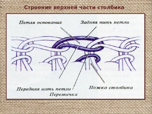 Строение верхней части столбика 