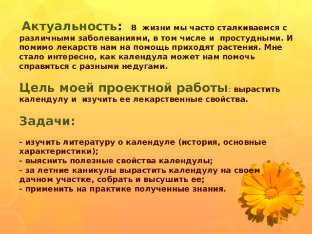 Польза календулы. Календула проектная работа актуальность. Ноготков цветки, польза и вред.. Календула лекарственная польза и вред. Цветки календулы польза и вред.