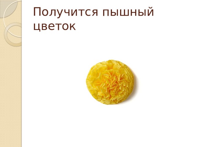 Получится пышный цветок 