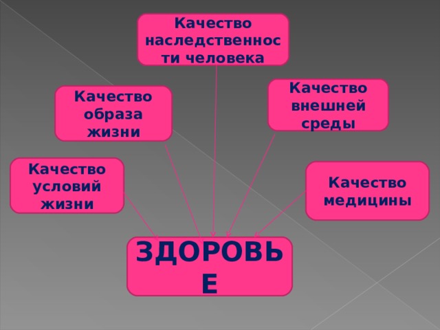 Качество наследственности человека Качество внешней среды Качество образа жизни Качество условий жизни Качество медицины ЗДОРОВЬЕ 
