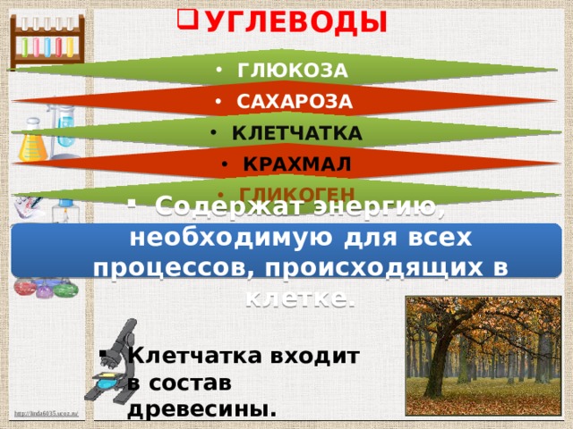 УГЛЕВОДЫ ГЛЮКОЗА САХАРОЗА КЛЕТЧАТКА КРАХМАЛ ГЛИКОГЕН Содержат энергию, необходимую для всех процессов, происходящих в клетке. Клетчатка входит в состав древесины. 