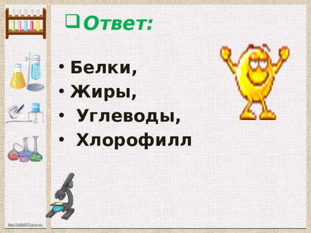 Ответ: Белки, Жиры,   Углеводы,   Хлорофилл  