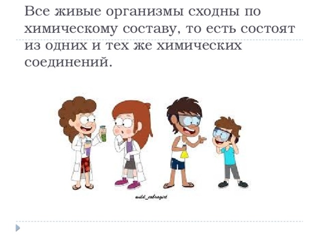 Все живые организмы сходны по химическому составу, то есть состоят из одних и тех же химических соединений.    