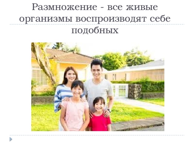 Размножение - все живые организмы воспроизводят себе подобных