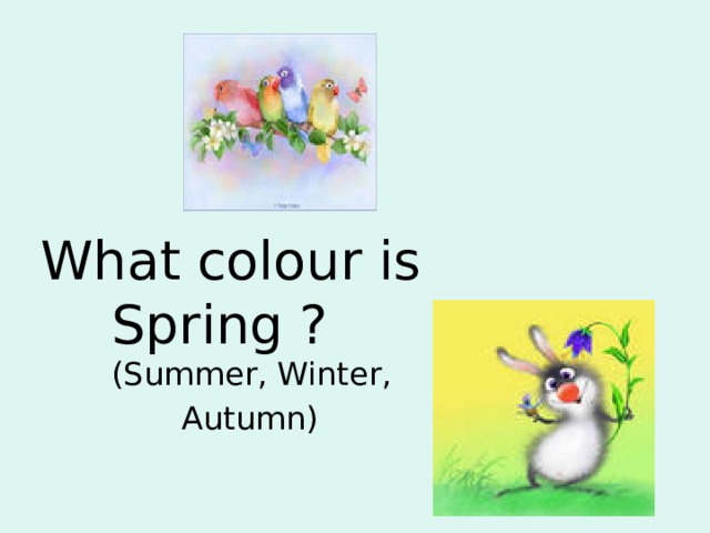 What colour is Spring ?  (Summer, Winter,  Autumn)  