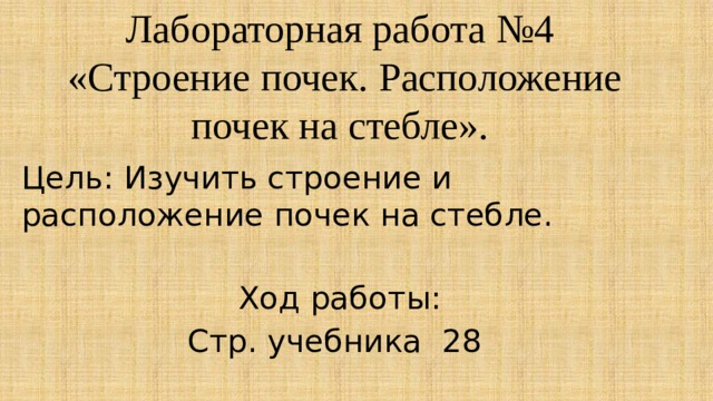 Лабораторная работа №4  «Строение почек. Расположение почек на стебле».    Цель: Изучить строение и расположение почек на стебле. Ход работы: Стр. учебника 28 