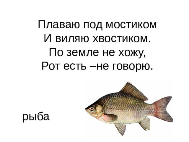 Плаваю под мостиком  И виляю хвостиком.  По земле не хожу,  Рот есть –не говорю. рыба 