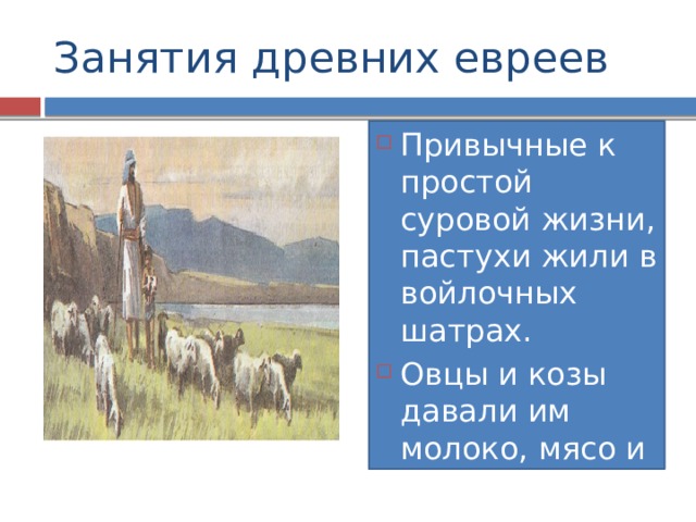 Занятия древних евреев Привычные к простой суровой жизни, пастухи жили в войлочных шатрах. Овцы и козы давали им молоко, мясо и шерсть  