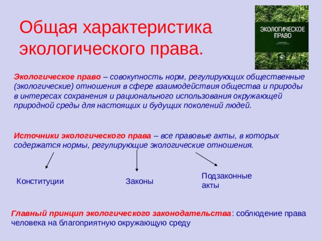 Общая характеристика экологического права. Экологическое право – совокупность норм, регулирующих общественные (экологические) отношения в сфере взаимодействия общества и природы в интересах сохранения и рационального использования окружающей природной среды для настоящих и будущих поколений людей. Источники экологического права  – все правовые акты, в которых содержатся нормы, регулирующие экологические отношения. Подзаконные акты Конституции Законы Главный принцип экологического законодательства : соблюдение права человека на благоприятную окружающую среду 