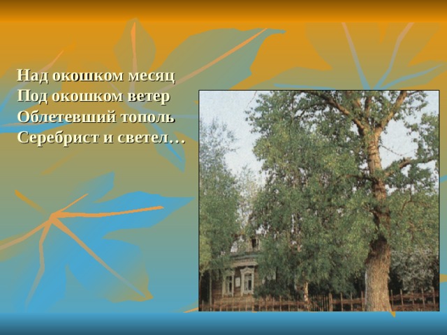 Над окошком месяц под окошком ветер. Есенин серебристый Тополь. Облетевший Тополь серебрист и светел. Под окошком ветер. Над окошком месяц.