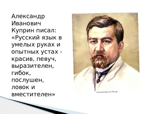 Высказывания о русском языке русских писателей презентация